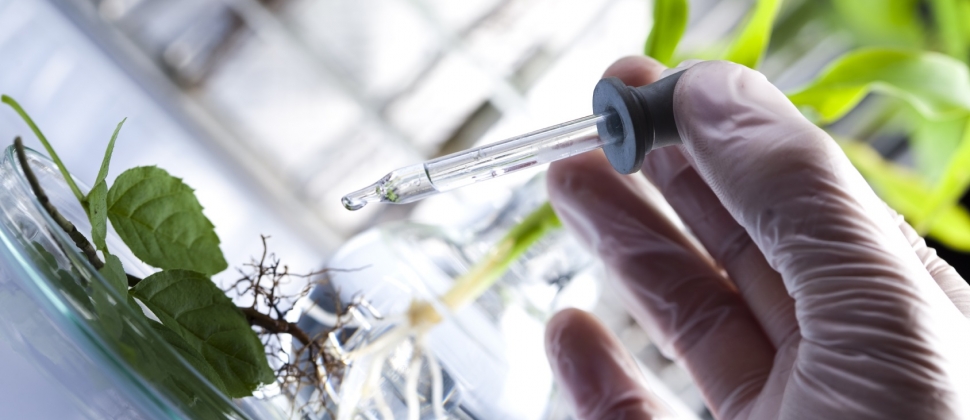 SGS United Kingdom Ltd-banner-image