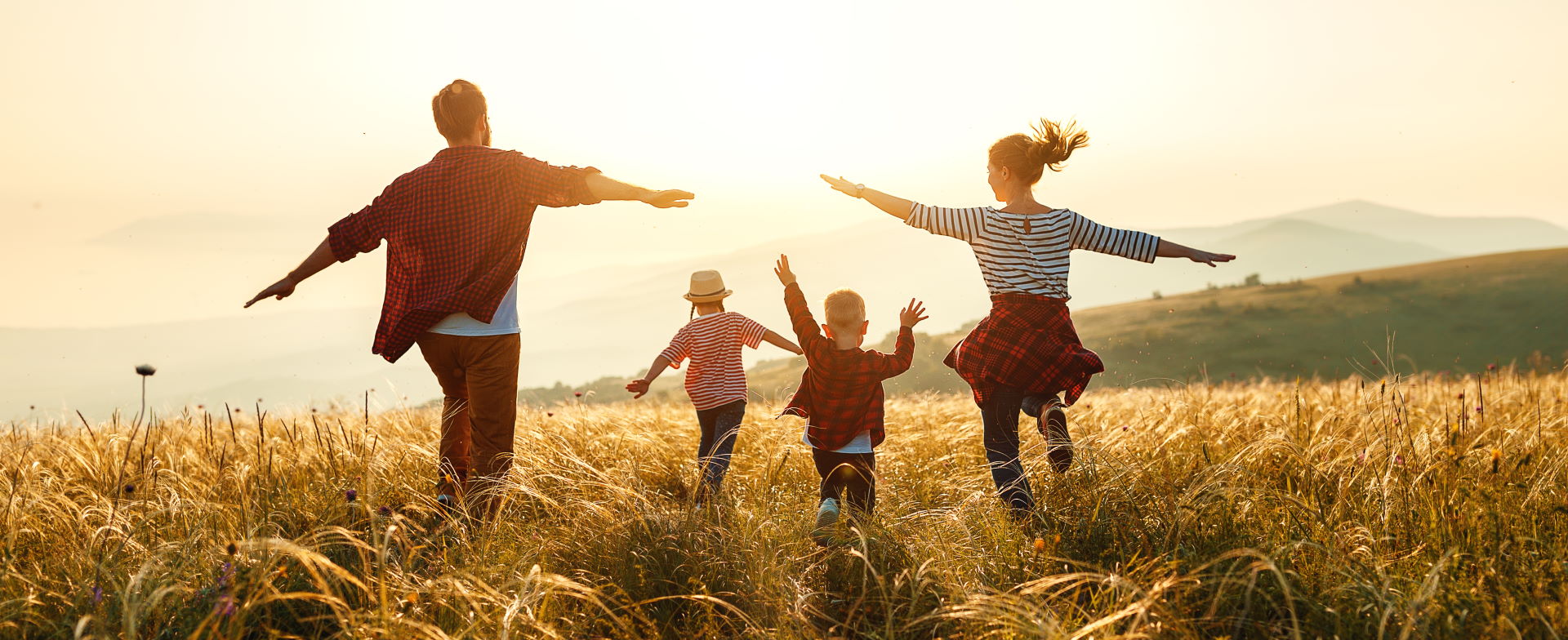 Protection Financial Services-banner-image