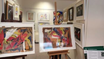 Renown Italian Contemporary Artist – exhibits at Surrey Heath Museum